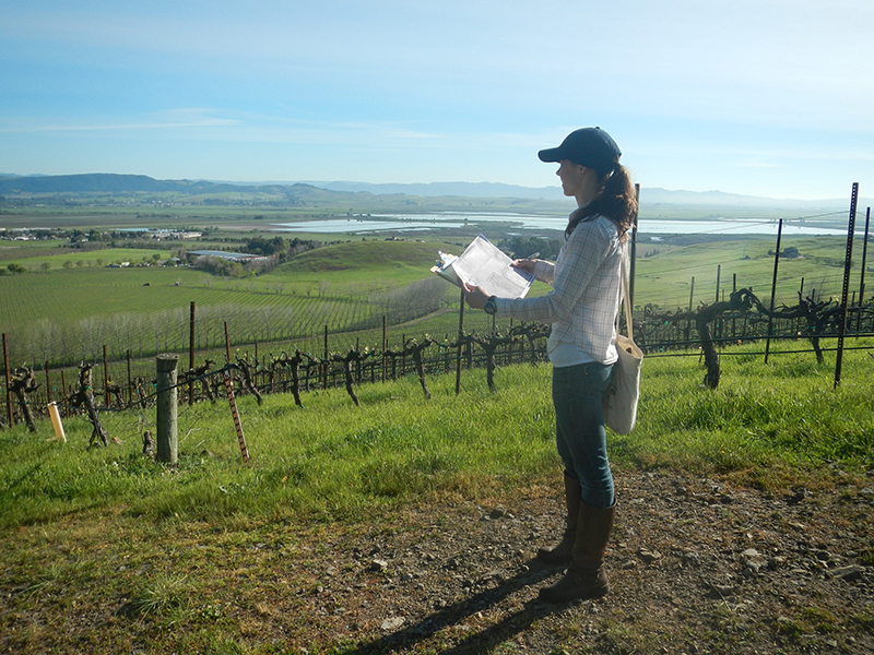 Conservation_053_800w