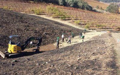 Natural Resources Recovery Guide