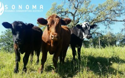 May Newsletter