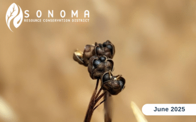 June eNewsletter