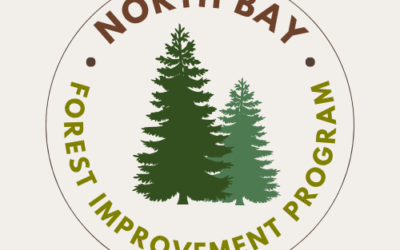 North Bay Forest Improvement Program Is Now Taking Applications – Due 7/25