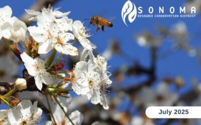July eNewsletter