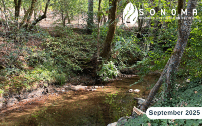 September eNewsletter