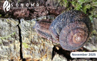 November eNewsletter