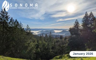 January eNewsletter